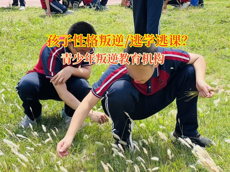 青少年叛逆教育机构帮助孩子破逃学困局