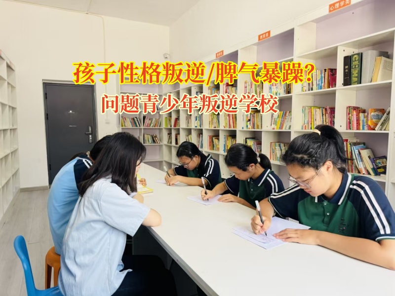 问题青少年叛逆学校帮助女孩子破青春期“暴风”