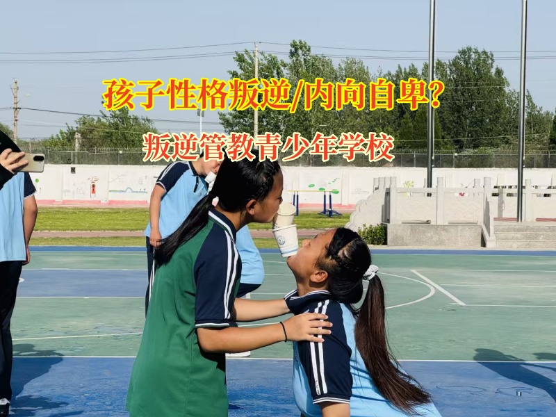 叛逆管教青少年学校教孩子告别胆小内向