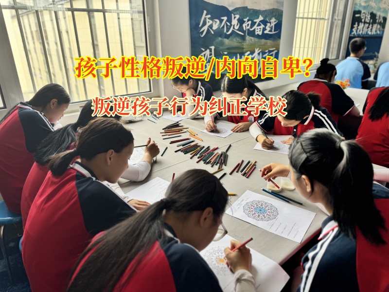 叛逆孩子行为纠正学校帮助情绪低落的孩子重拾信心