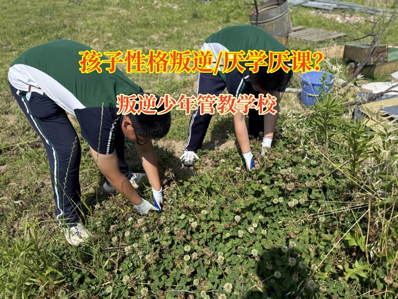 叛逆少年管教学校有效矫正孩子厌学问题