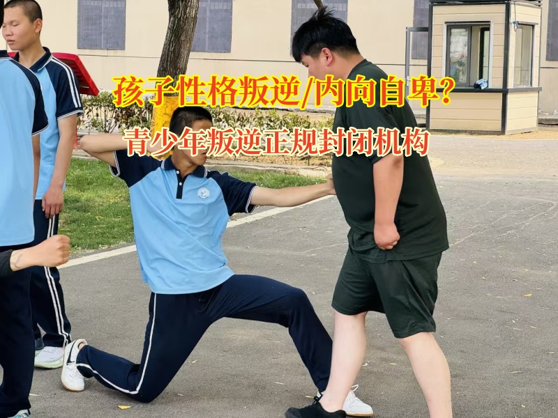 青少年叛逆正规封闭机构重视青少年无主见问题