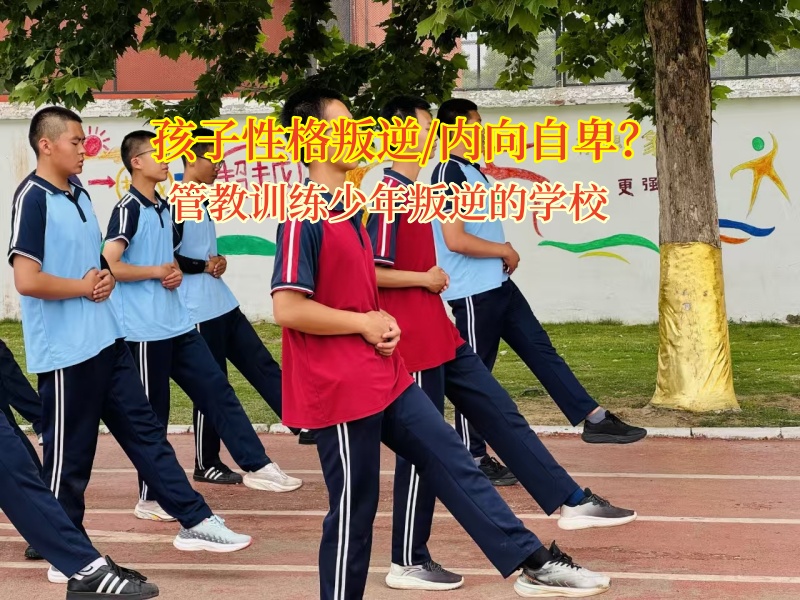 管教训练少年叛逆的学校助力孩子自我成长