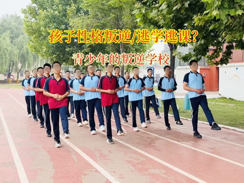 青少年的叛逆学校巧用方法激发孩子学习兴趣