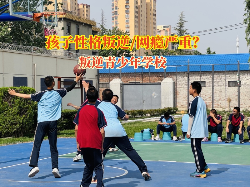揭秘叛逆青少年学校学费