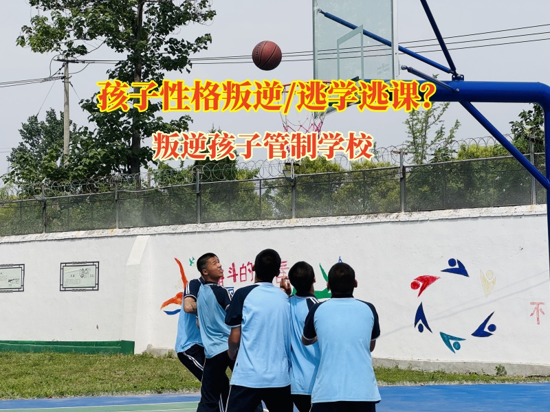 叛逆孩子管制学校智慧应对孩子说谎