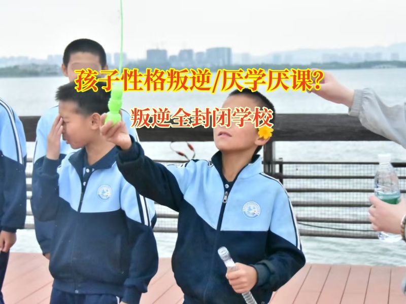 叛逆全封闭学校破解初中孩子不爱写作业难题