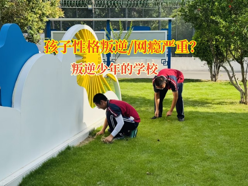 叛逆少年的学校化解孩子攀比心理