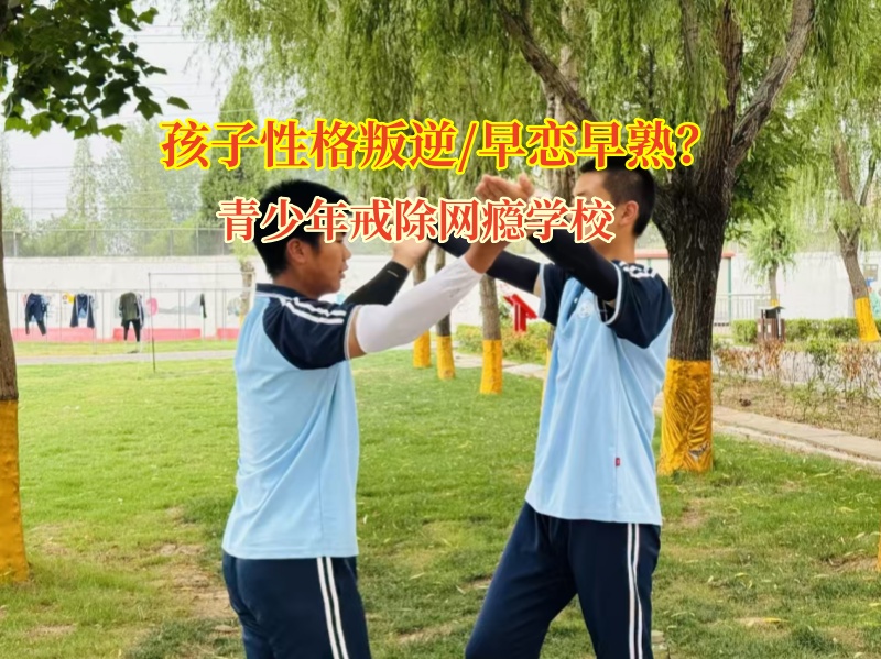 青少年戒除网瘾学校了解孩子早恋问题原因