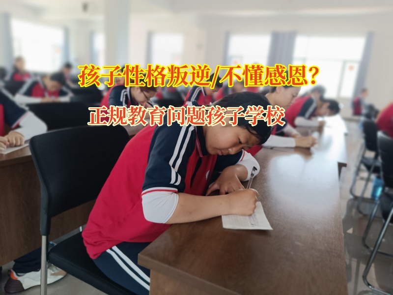 正规教育问题孩子学校为孩子种下感恩的种子