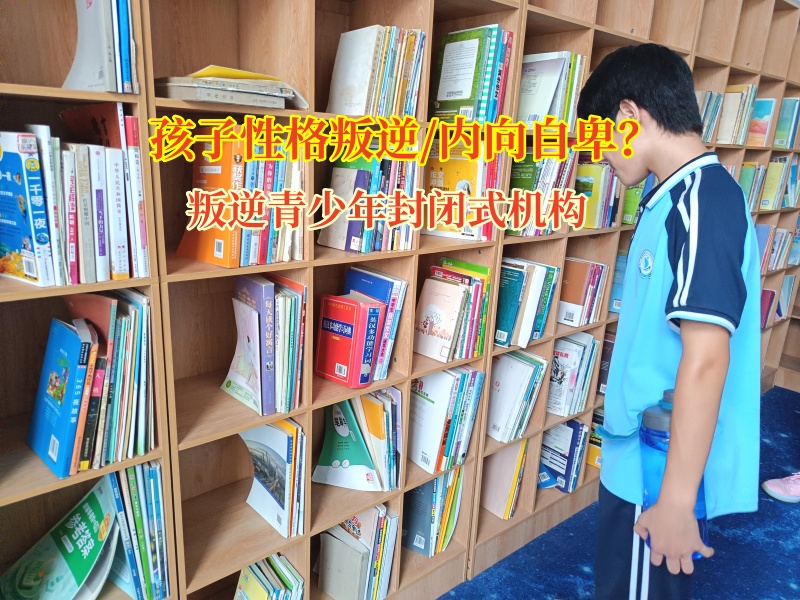 叛逆青少年封闭式机构给抑郁青少年一个避风港
