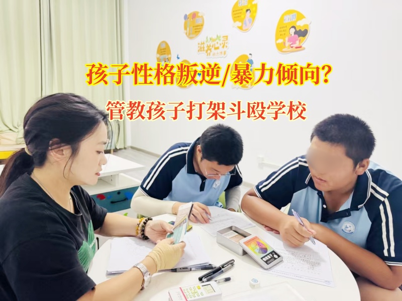管教孩子打架斗殴学校为孩子暴力筑起和平之桥