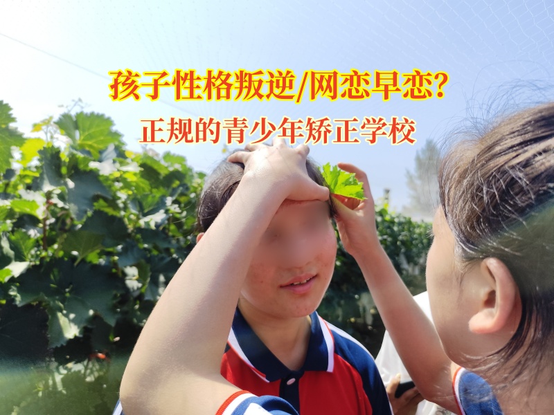 正规的青少年矫正学校帮青少年挣脱网恋“枷锁”