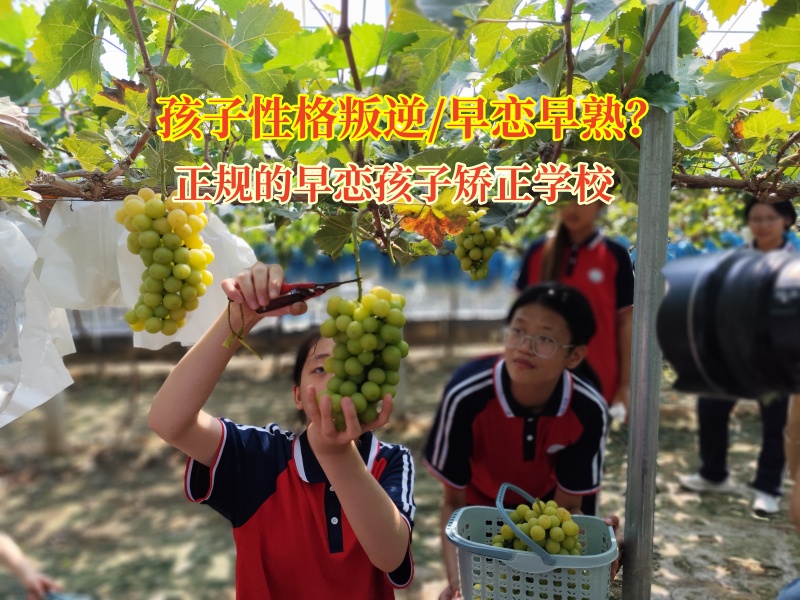 正规的早恋孩子矫正学校助早恋少年走出情感迷雾