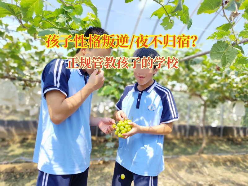 正规管教孩子的学校助夜不归宿孩子归正途