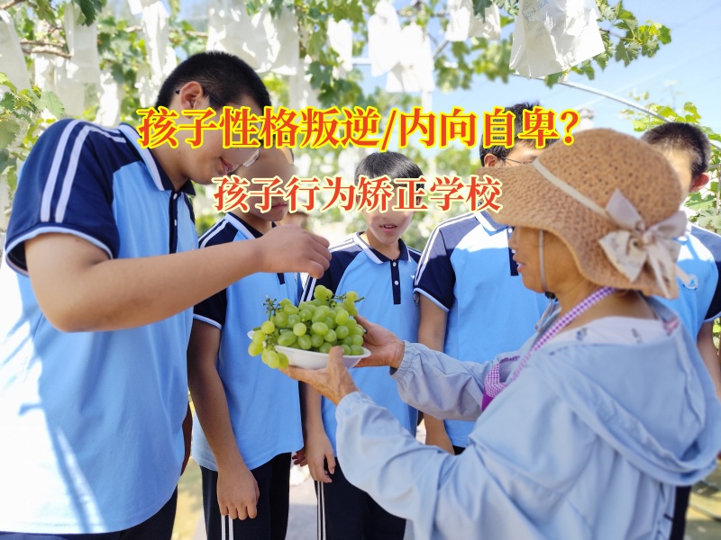 孩子行为矫正学校破沟通坚冰，育自信少年