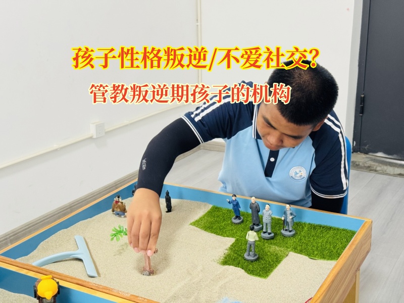 管教叛逆期孩子的机构为“孤雁”孩子搭建社交桥梁