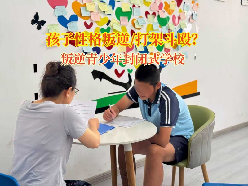 叛逆青少年封闭式学校为打架少年开启理智之门