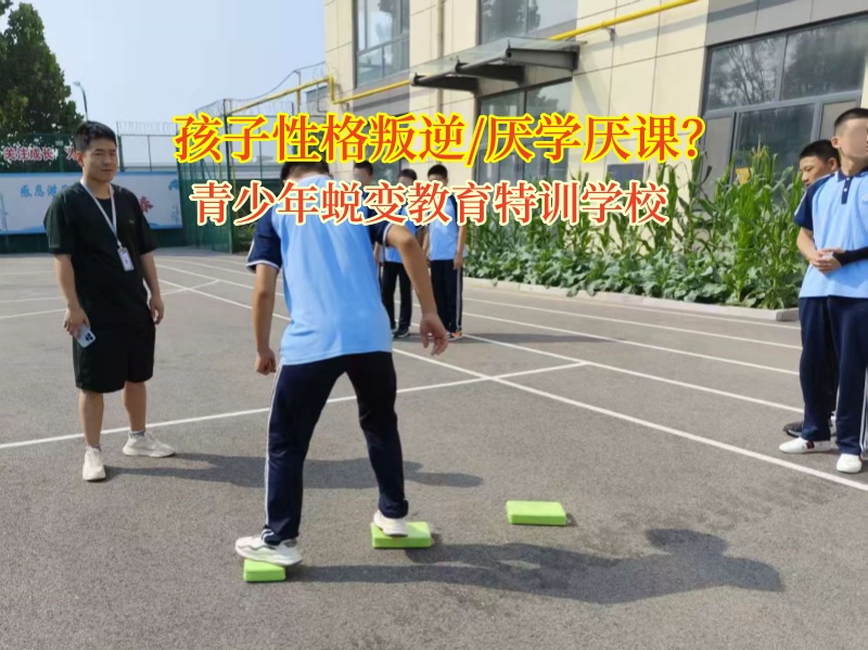 青少年蜕变教育特训学校：帮青春期娃重启学习之旅