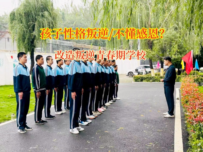 改造叛逆青春期学校培育孩子感恩之心