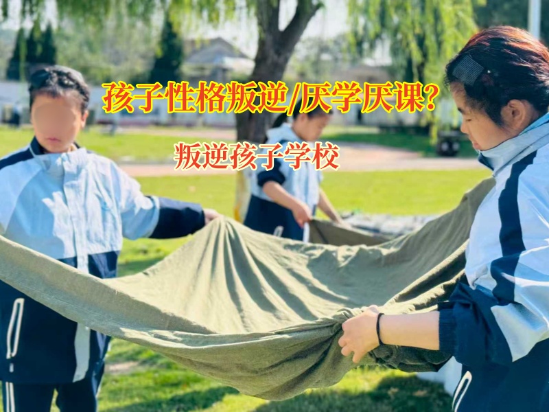 叛逆孩子学校费用大揭秘,选对才是关键! 叛逆孩子学校费用大揭秘,选对才是关键!