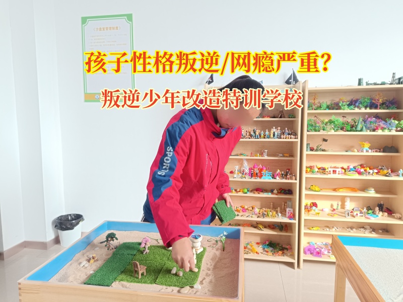 叛逆少年改造特训学校收费是什么标准？