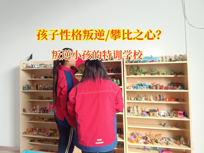 叛逆小孩的特训学校教导爱攀比的叛逆孩子 叛逆小孩的特训学校教导爱攀比的叛逆孩子