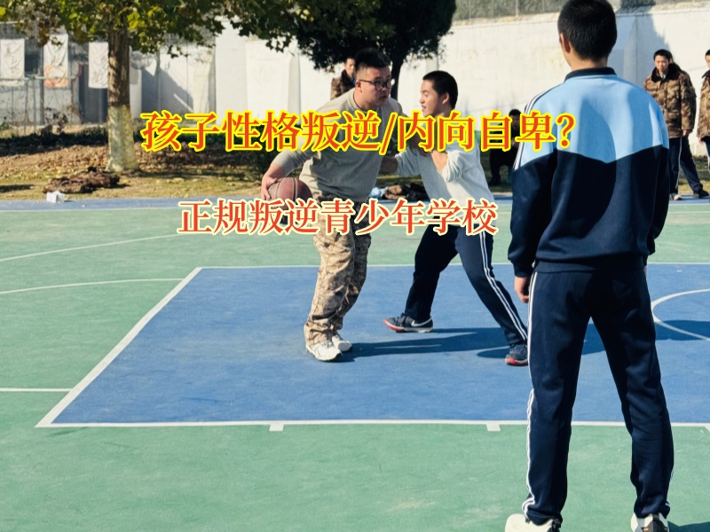 正规叛逆青少年学校帮助孩子克服胆小的问题 正规叛逆青少年学校帮助孩子克服胆小的问题