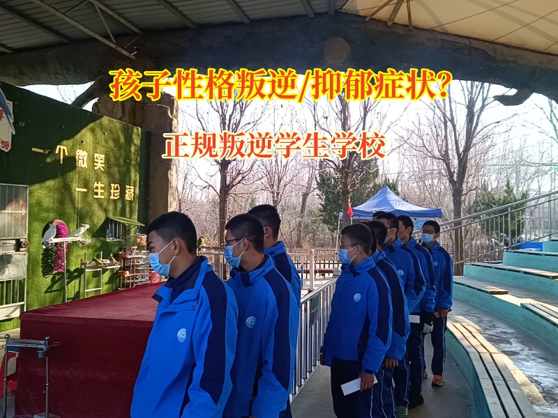正规叛逆学生学校帮助孩子排除抑郁情绪 正规叛逆学生学校帮助孩子排除抑郁情绪