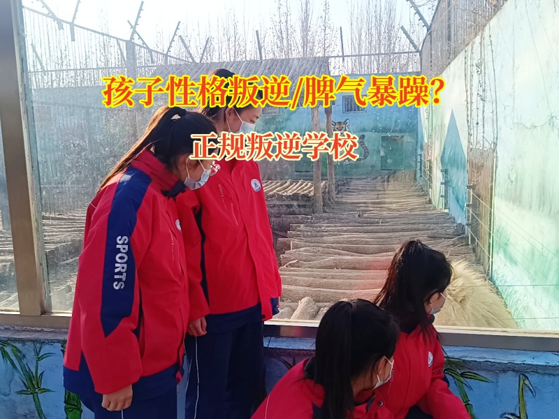 正规叛逆学校教育劝导脾气暴躁的孩子 正规叛逆学校教育劝导脾气暴躁的孩子