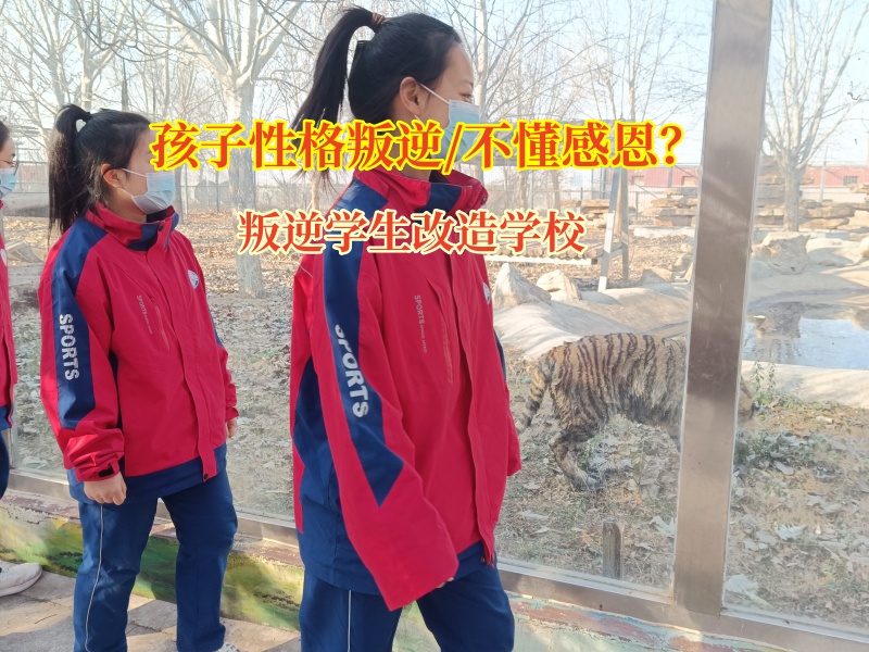 叛逆学生改造学校培养孩子的感激之情