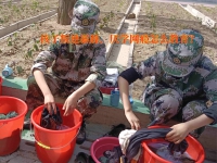 改善手机成瘾的学校如何看待孩子网瘾严重
