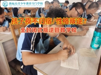 全封闭式叛逆管教学校浅谈女孩夜不归宿的原因