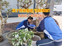 15岁孩子偷偷吸烟喝酒—守护青春，远离烟酒迷雾