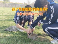 管教青少年叛逆学校用科学陪伴为孩子点亮心灯