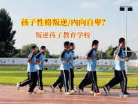 叛逆孩子教育学校助力内向孩子有妙招