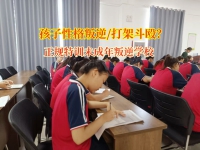 告别暴力阴霾，正规特训未成年叛逆学校为成长护航