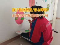 正规青少年叛逆期孩子学校改变孩子意志薄弱