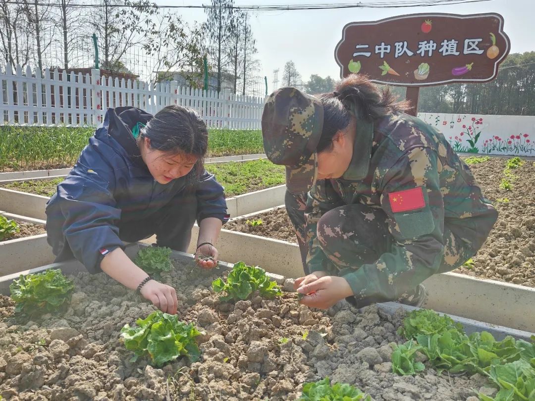 睿智青少年特训学校:传承雷锋精神 弘扬榜样力量