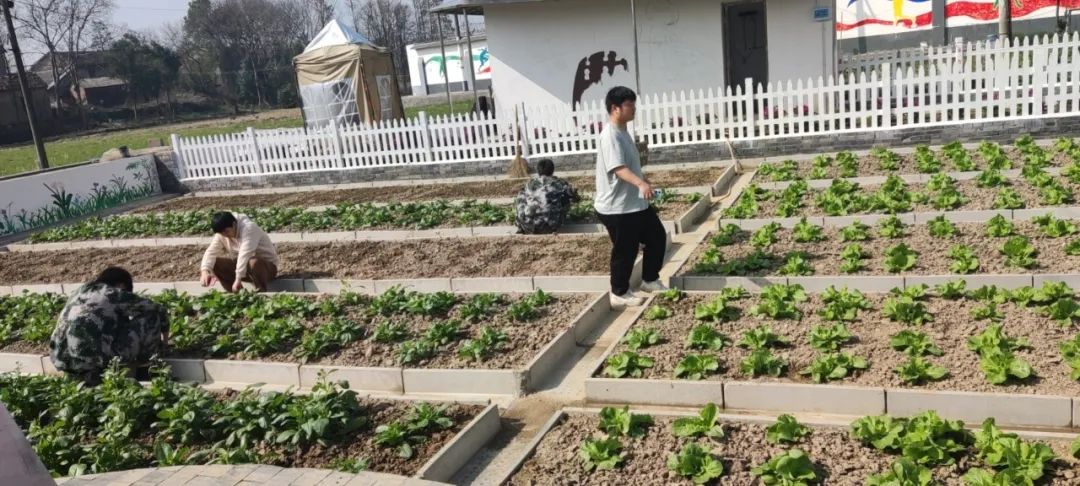 睿智青少年特训学校:传承雷锋精神 弘扬榜样力量